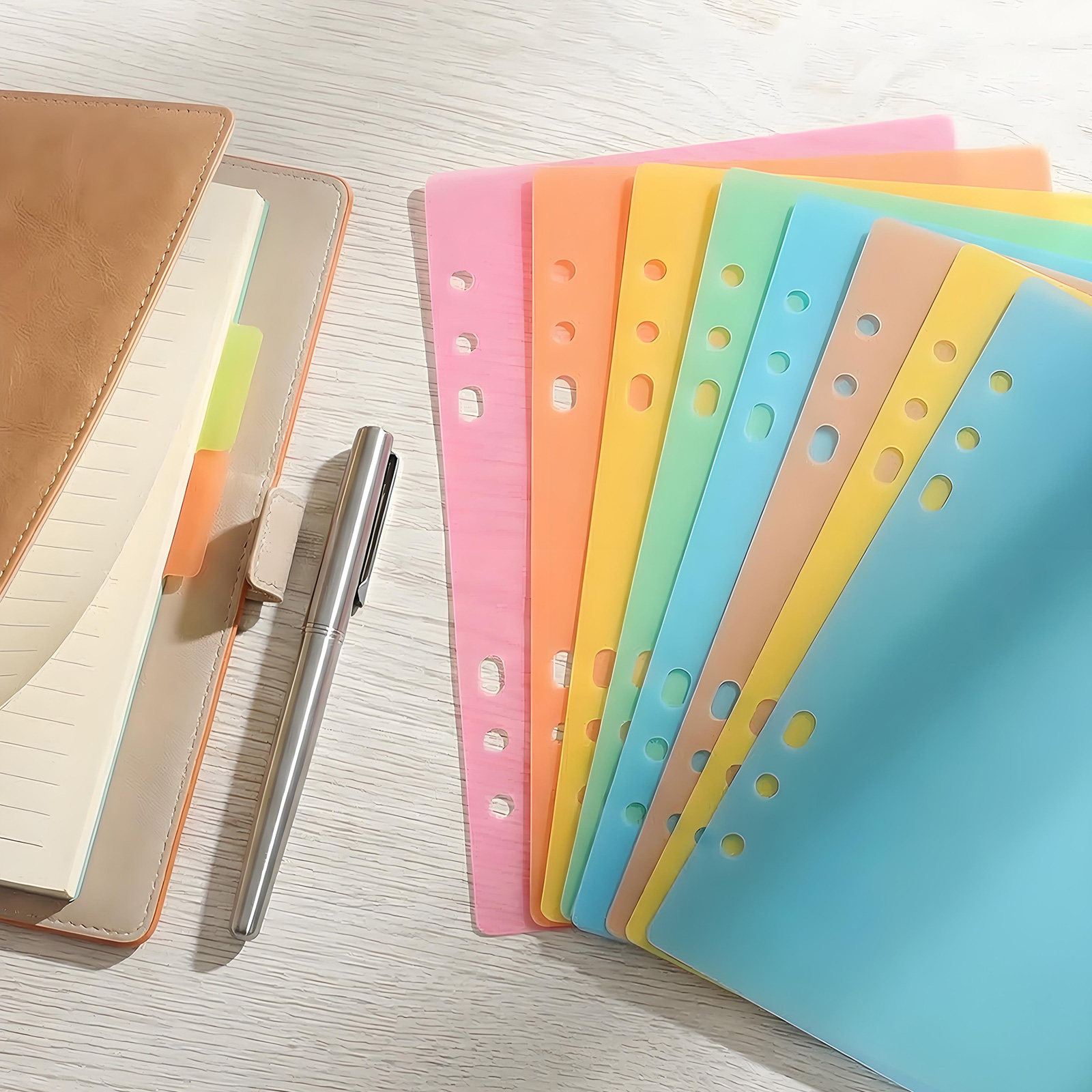 Index Tab Divider - 10 Separadores de Plástico Coloridos para